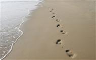 Estate Planning process is very much like following a path through the sand